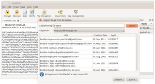 gpg4usb 0.3.1 - Dialog of import from keyserver (Linux)